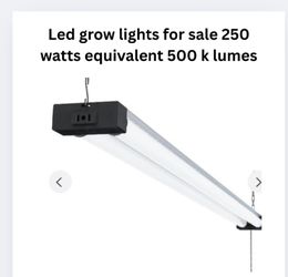 Complete Indoor Lettuce Growing Kit ONLY $49 ORDER NOW!!!