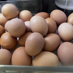 Organic Eggs For Sale 