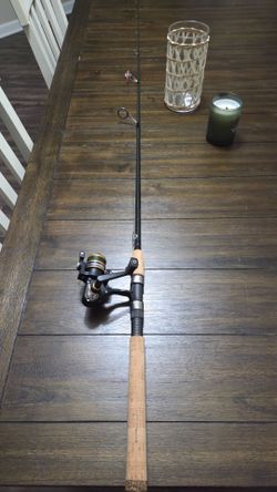 Pen 4200ss /Shimano Teramar