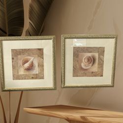 Seashells Print With Gold Frames