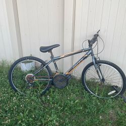 Mountain Bike 