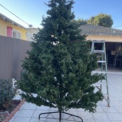 Excellent condition, 10 feet Christmas tree