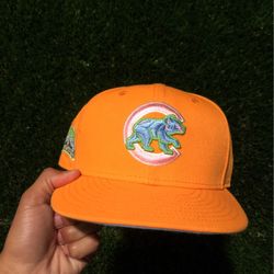 Fitted Hat 7 3/8