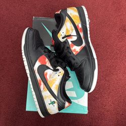 Nike SB Raygun