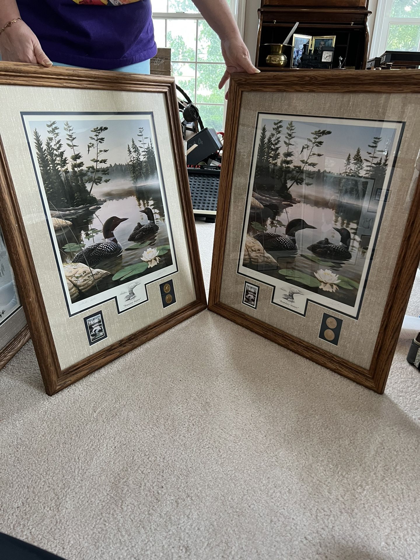 Picture - “Boundary Waters” (Ducks) by Leo Stans