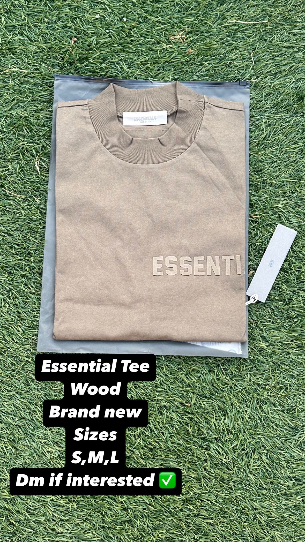 Essential Tee Wood