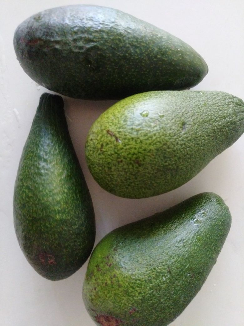 Local Avocados in Lindsay