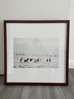 Field Horses Framed Photo