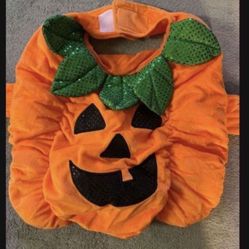 CA. SIZE LARGE PUMPKIN COSTUME. ALSO HAVE ELEPHANT.