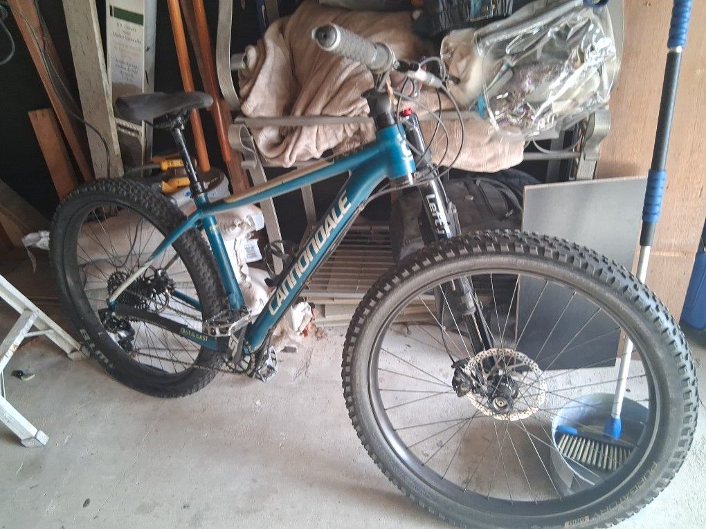 2017 Cannondale Beast Of The East Lefty