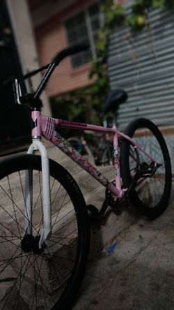 PinkChad 29r