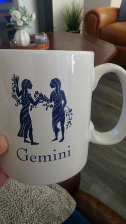 Gemini mug