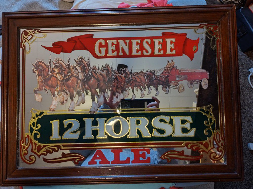 Genesee 12 Horse Mirror Pic
