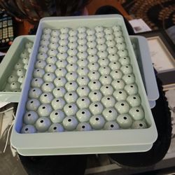 2 Ice Cube Trays For 10.00