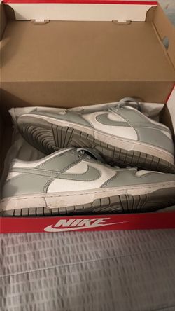Nike dunk grey