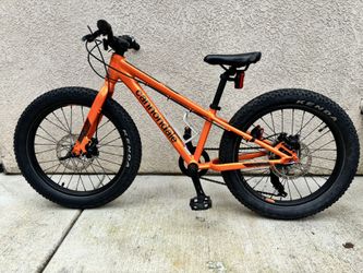 Kids Trail Plus 20 Bike . $599 Retail Price