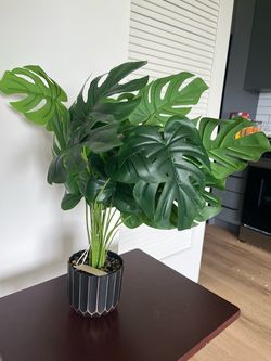Artificial Monstera Deliciosa Plant in Pot