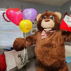 Valentines Teddygram Delivery Service 