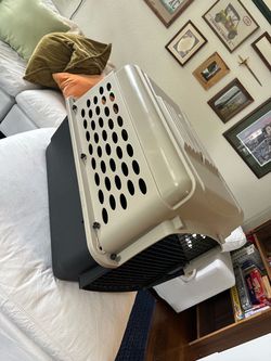 Kennel
