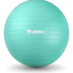 Exercise & Pilates Yoga Ball - Multiple Sizes for Fitness, Pregnancy, Stability, Balance, Core Workout - Anti-Burst Swiss Balance Ball w/Quick