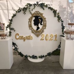 Party Decorations/ Balloon Garland/ Backdrop Decoration