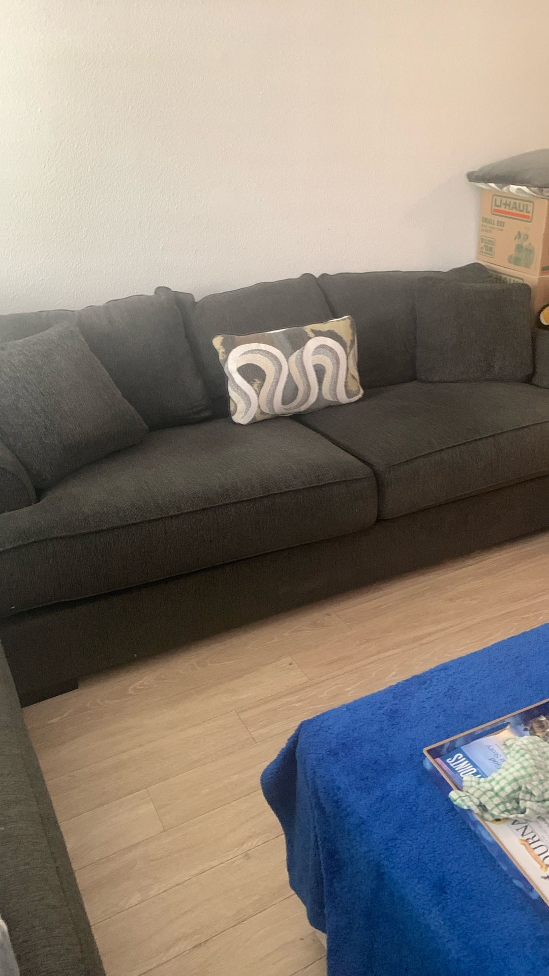 Beautiful Sofa. One Or Two