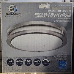 14" Flush Mount LED Light