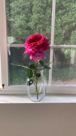 Glass vase