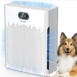 Air Purifiers for Home Cover Up to 2200 Ft², HEPA Air Purifier with Washable Pre-filter