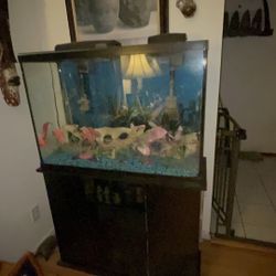 Marineland LED 45 Gallon Aquarium and Stand