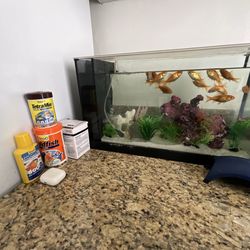 Regalo 18 peces gold fish con su pecera