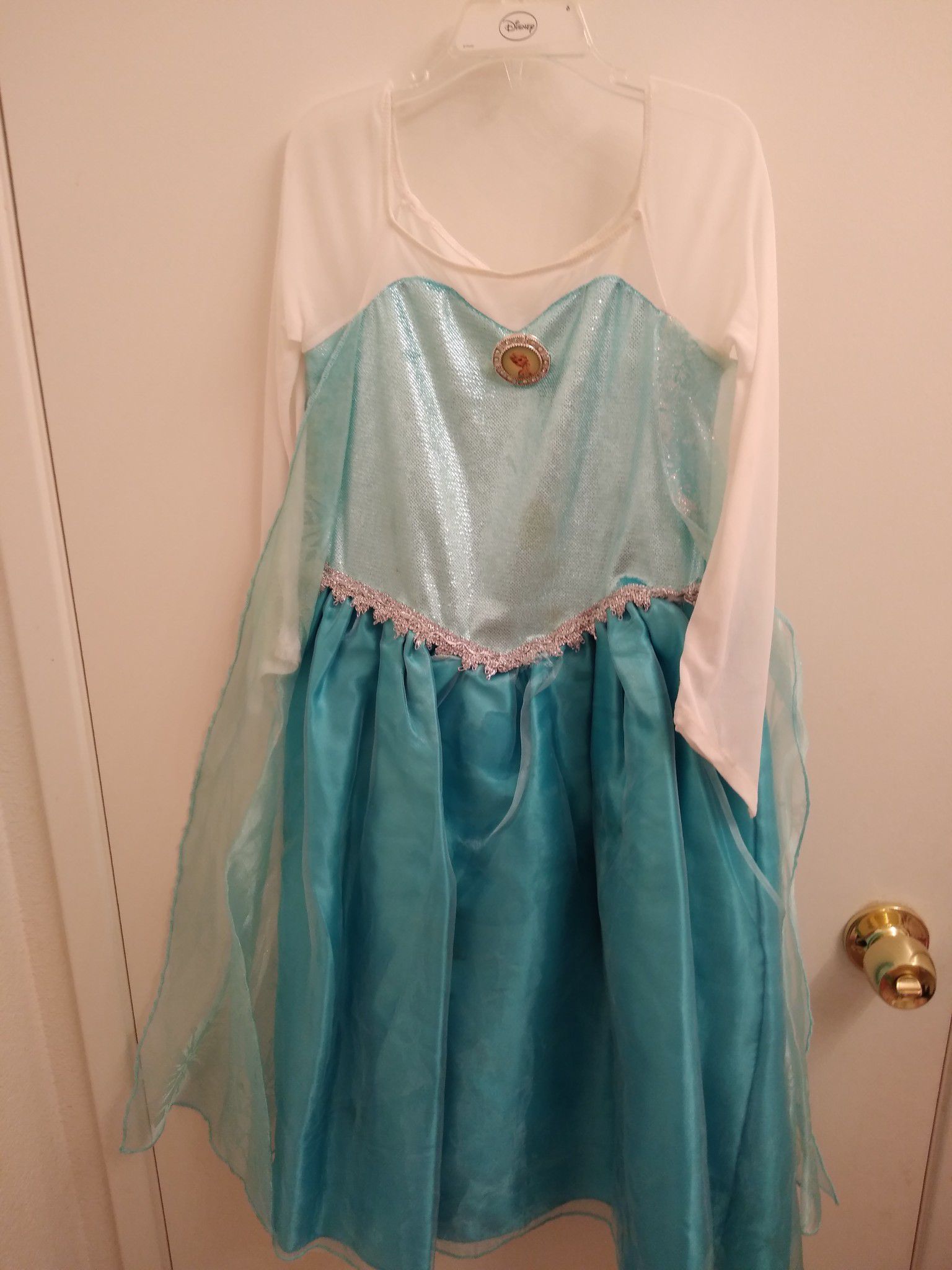 Disney Frozen Elsa costume princess dress