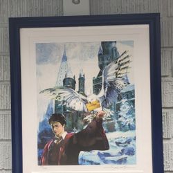 Jim Salvati Gicleé Harry Potter And Hedwig