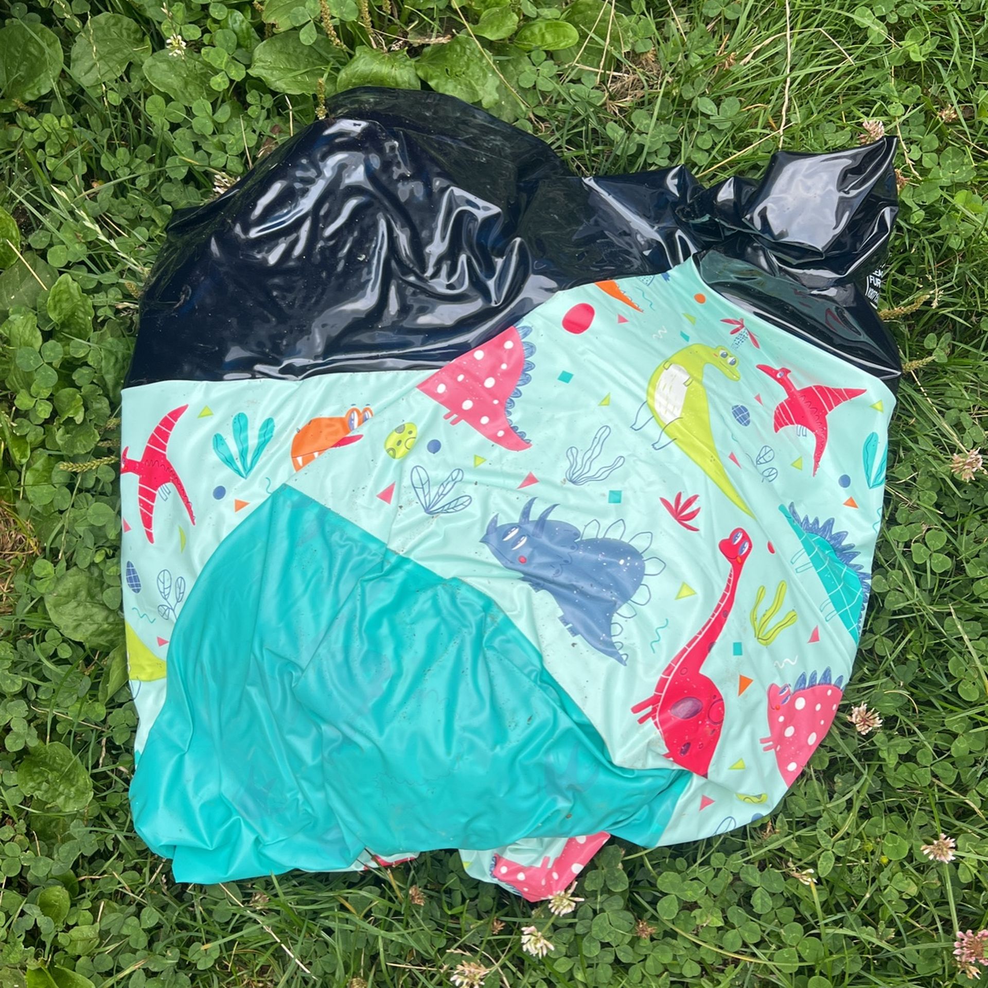 Dinosaur Kids Swimming Pool