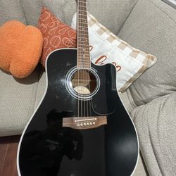 Takamine Guitar