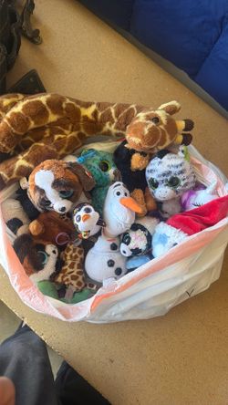 Assorted Ty plushes