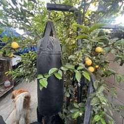 Punching Bag with Stand