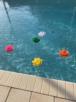 Pool Flower set of 5