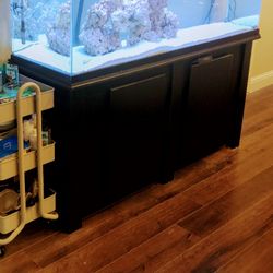  Fish Tank With Everything 