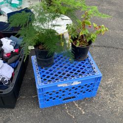 Yard Sale At Libby School 