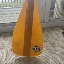 Bic Carbon-fiberglass Extendable Paddle 