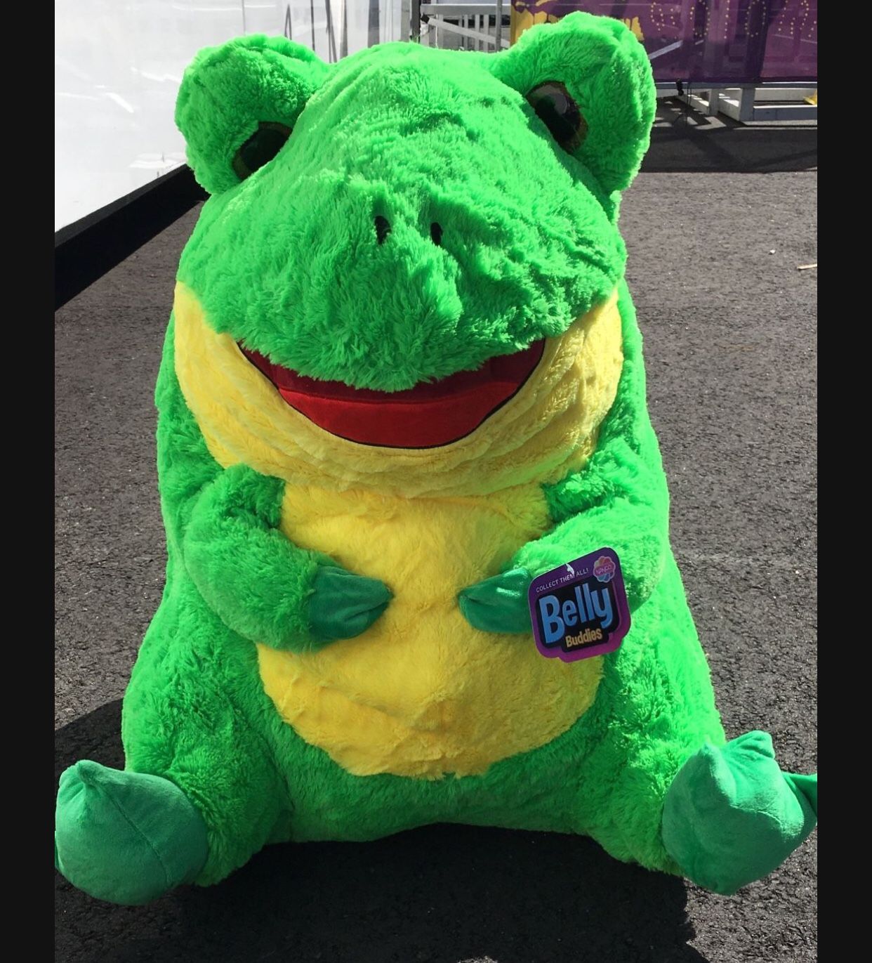 Frog Stuffed Animal