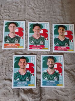 Panini world cup stickers