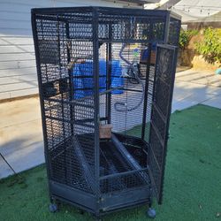 Bird Cage Big