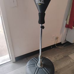Everlast Speed Bag