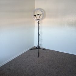 Ring light 