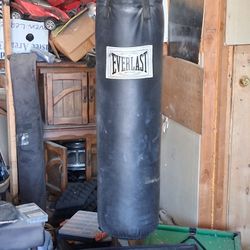 Profesdional Everlast Punching Bag (80 Lbs.)
