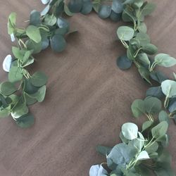  Eucalyptus Greenery 