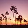 PALMS&SUMMERS