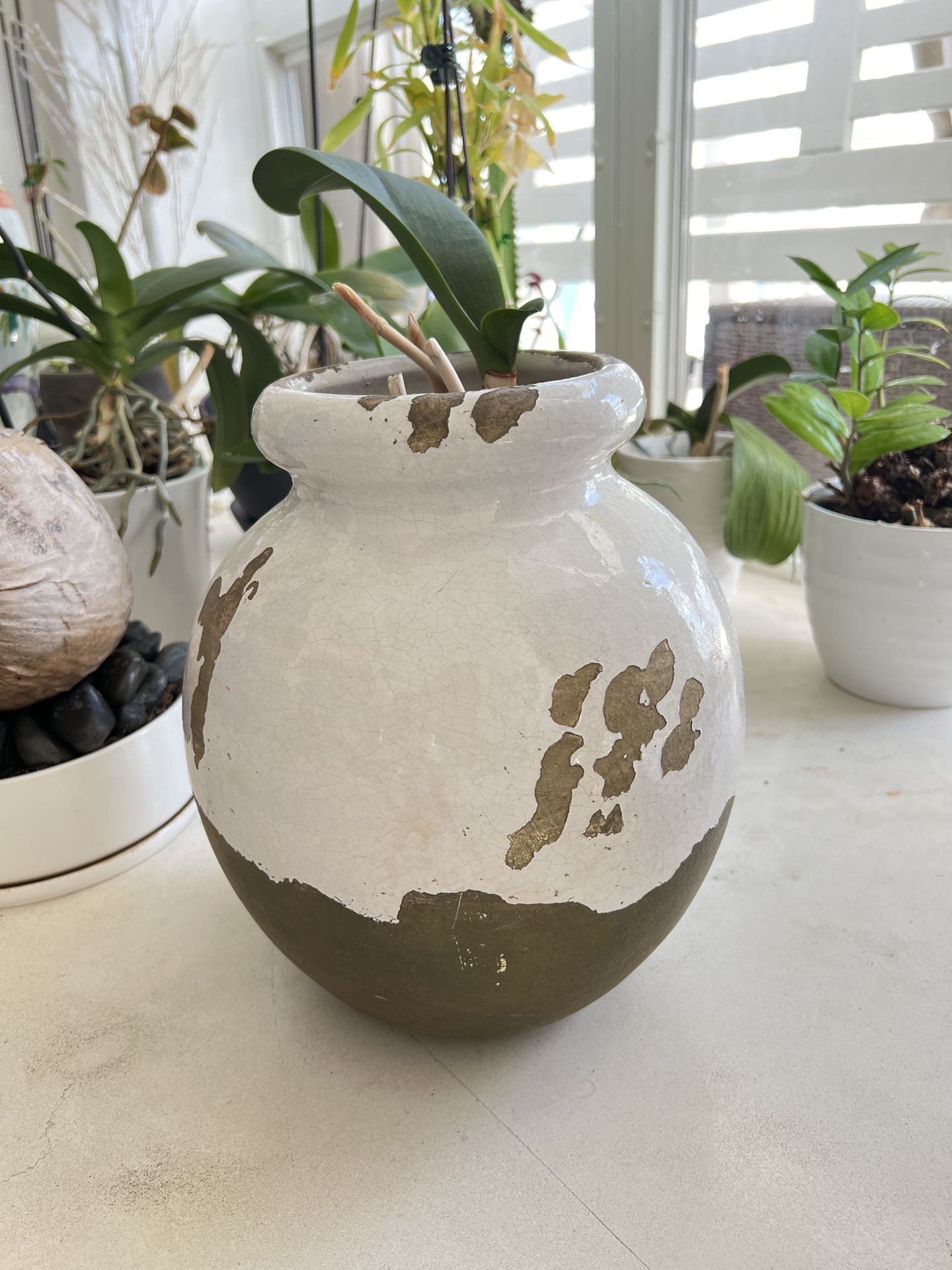 Pottery Barn Vase